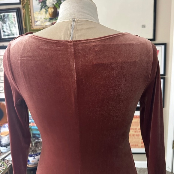 Deadly Dames Film Noir Dress in Rusty Rose Velvet NWT - Picture 9 of 15